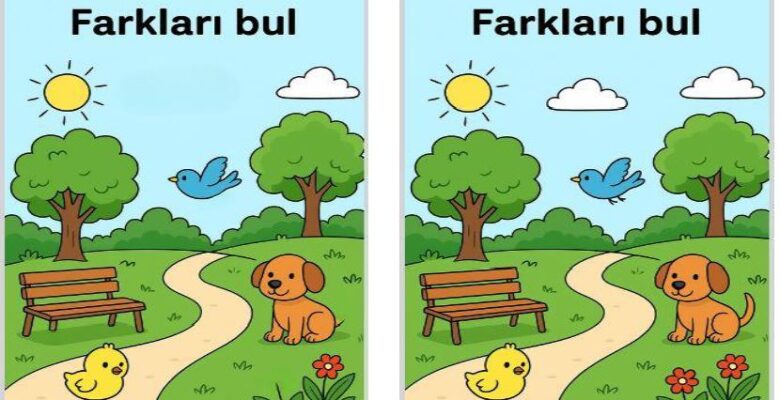 iki resim arasındaki 5 farkı bulalım