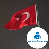 3 adet bayrak boyama PDF